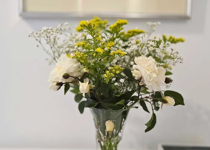 Mirador San Benito * א גוארדה